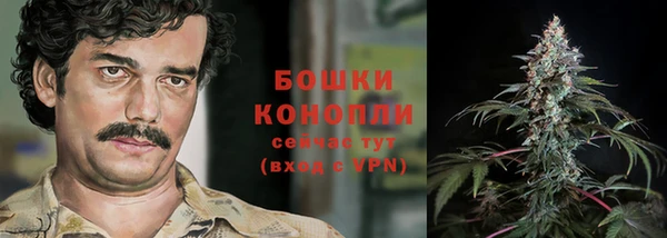 твердый Майский