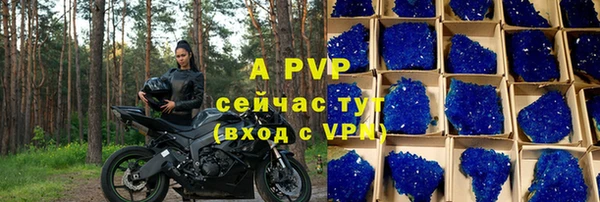 твердый Майский