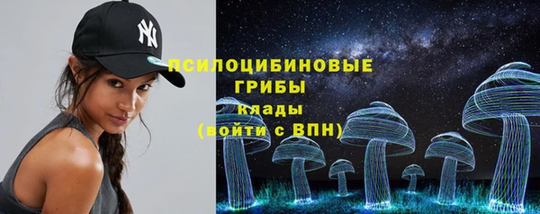 молекула духа Магадан