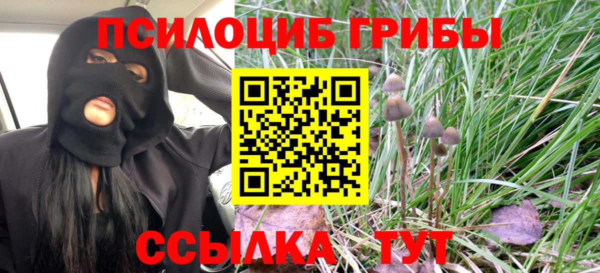 Новочебоксарск  Псилоцибиновые грибы мицелий  Вход с VPN 